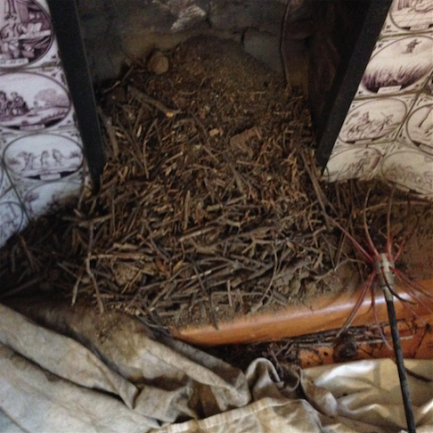 Birds Nest Removed